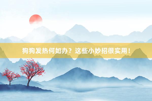 狗狗发热何如办？这些小妙招很实用！