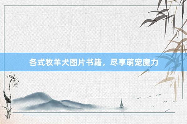 各式牧羊犬图片书籍，尽享萌宠魔力