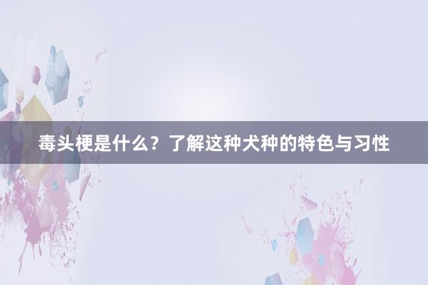 毒头梗是什么？了解这种犬种的特色与习性
